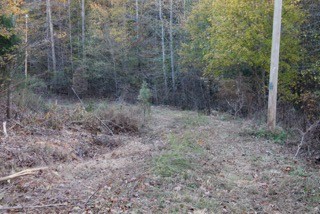 154 Baptist Branch Road Mount Pleasant, TN 38474 - Photo 2 of 22 Gallery Image 2