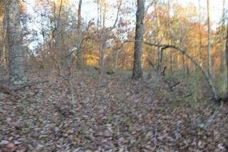 154 Baptist Branch Road Mount Pleasant, TN 38474 - Photo 12 of 22 Gallery Image 12
