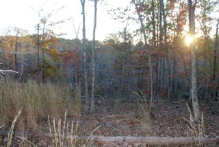 154 Baptist Branch Road Mount Pleasant, TN 38474 - Photo 15 of 22 Gallery Image 15