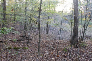 154 Baptist Branch Road Mount Pleasant, TN 38474 - Photo 19 of 22 Gallery Image 19