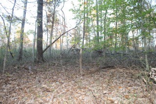 154 Baptist Branch Road Mount Pleasant, TN 38474 - Photo 20 of 22 Gallery Image 20