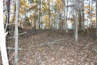 154 Baptist Branch Road Mount Pleasant, TN 38474 - Photo 8 of 22 Gallery Image 8