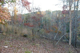 154 Baptist Branch Road Mount Pleasant, TN 38474 - Photo 9 of 22 Gallery Image 9