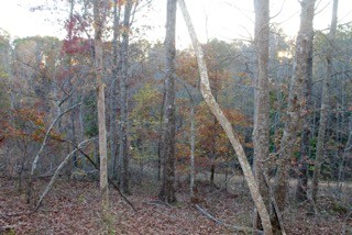 154 Baptist Branch Road Mount Pleasant, TN 38474 - Photo 10 of 22 Gallery Image 10