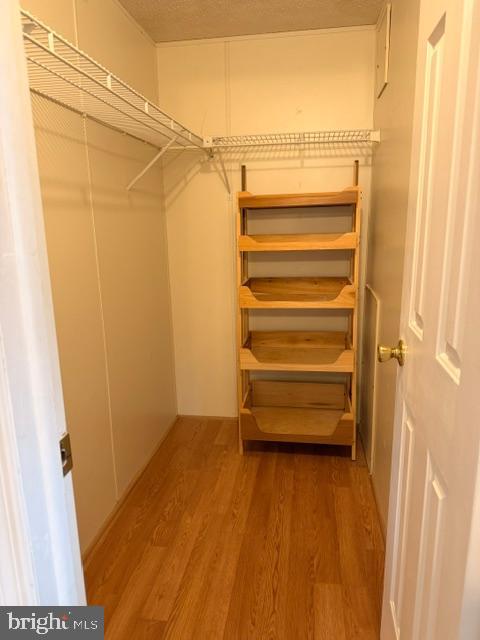 34403 Honeyspot Road Millsboro, DE 19966 - Photo 28 of 48 Walk in closet