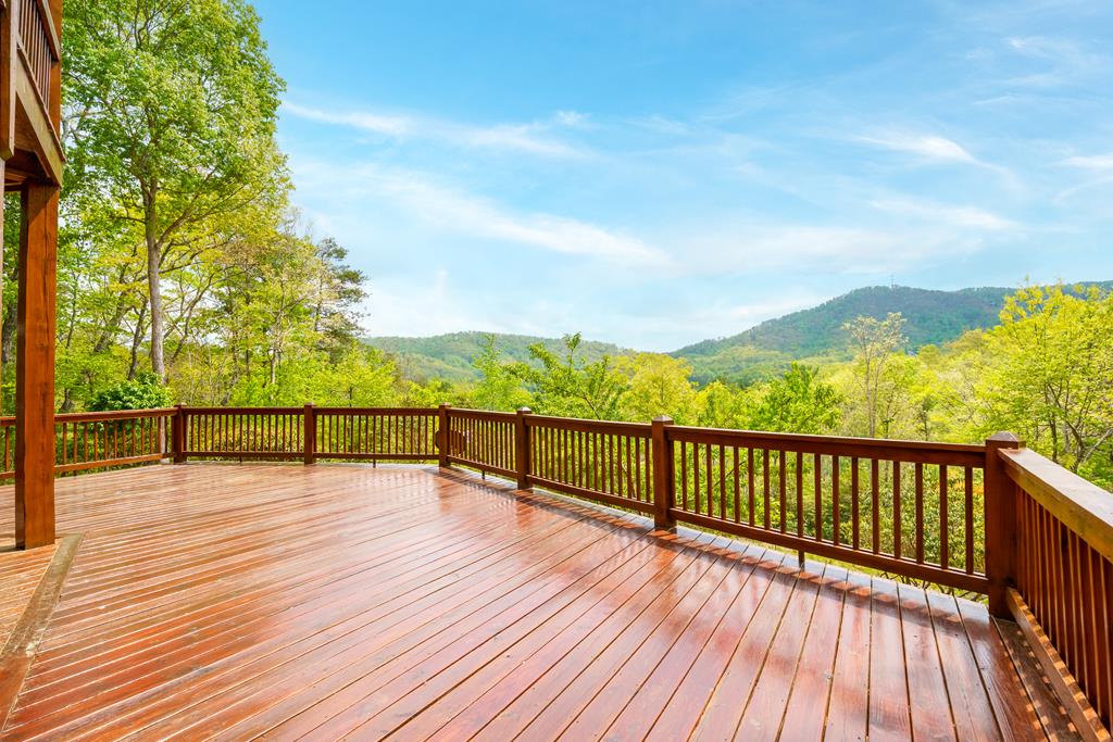 339 Birdseye View Blue Ridge, GA 30513 - Photo 61 of 69