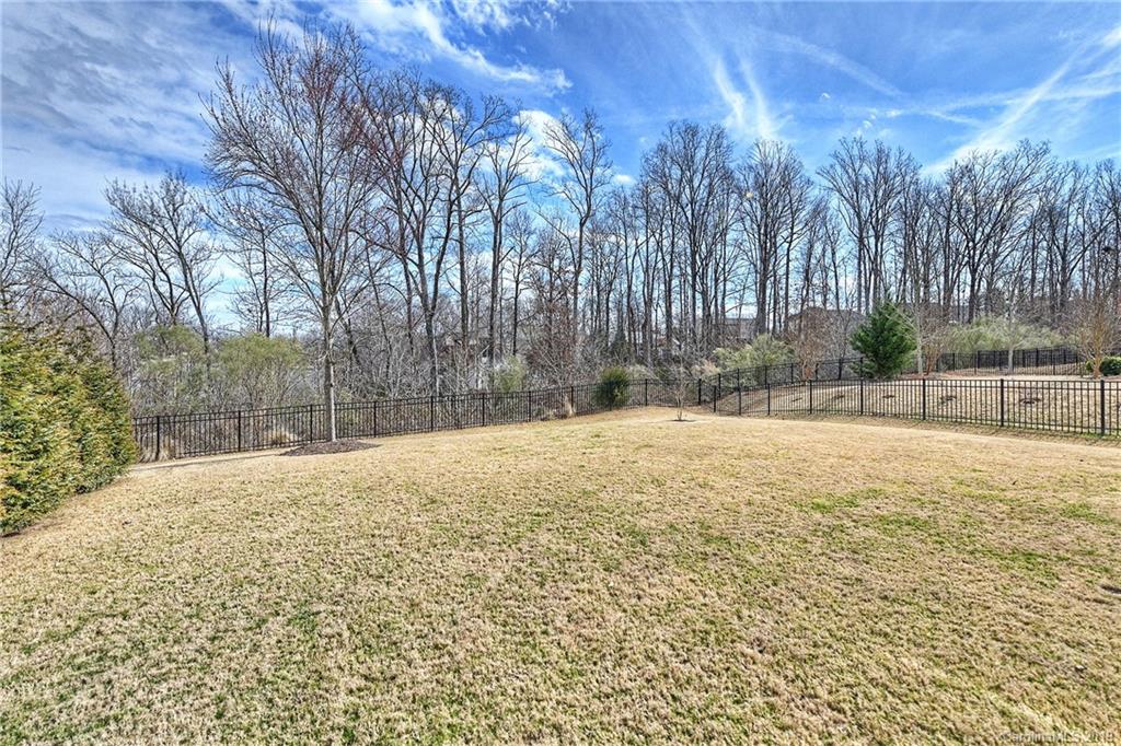 1222 Gold Rush Court Fort Mill, SC 29708 - Photo 35 of 36