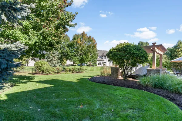 a view of a backyard with large trees
