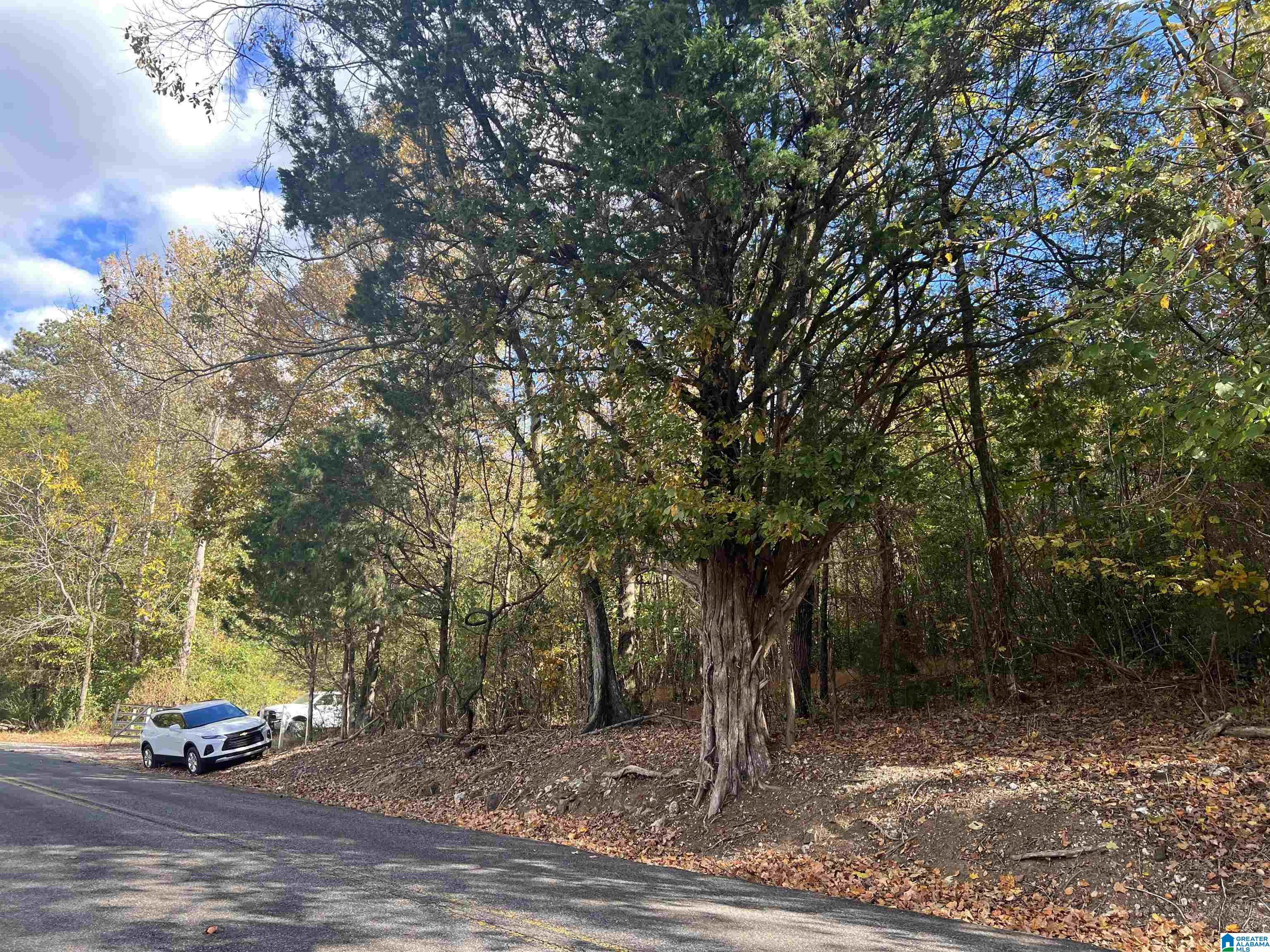 8455 Clayton Road Trussville, AL 35173 - Photo 30 of 65