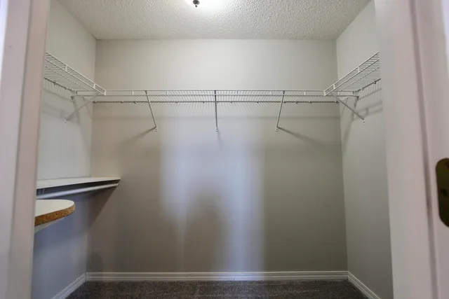 a view of a room with racks on the wall