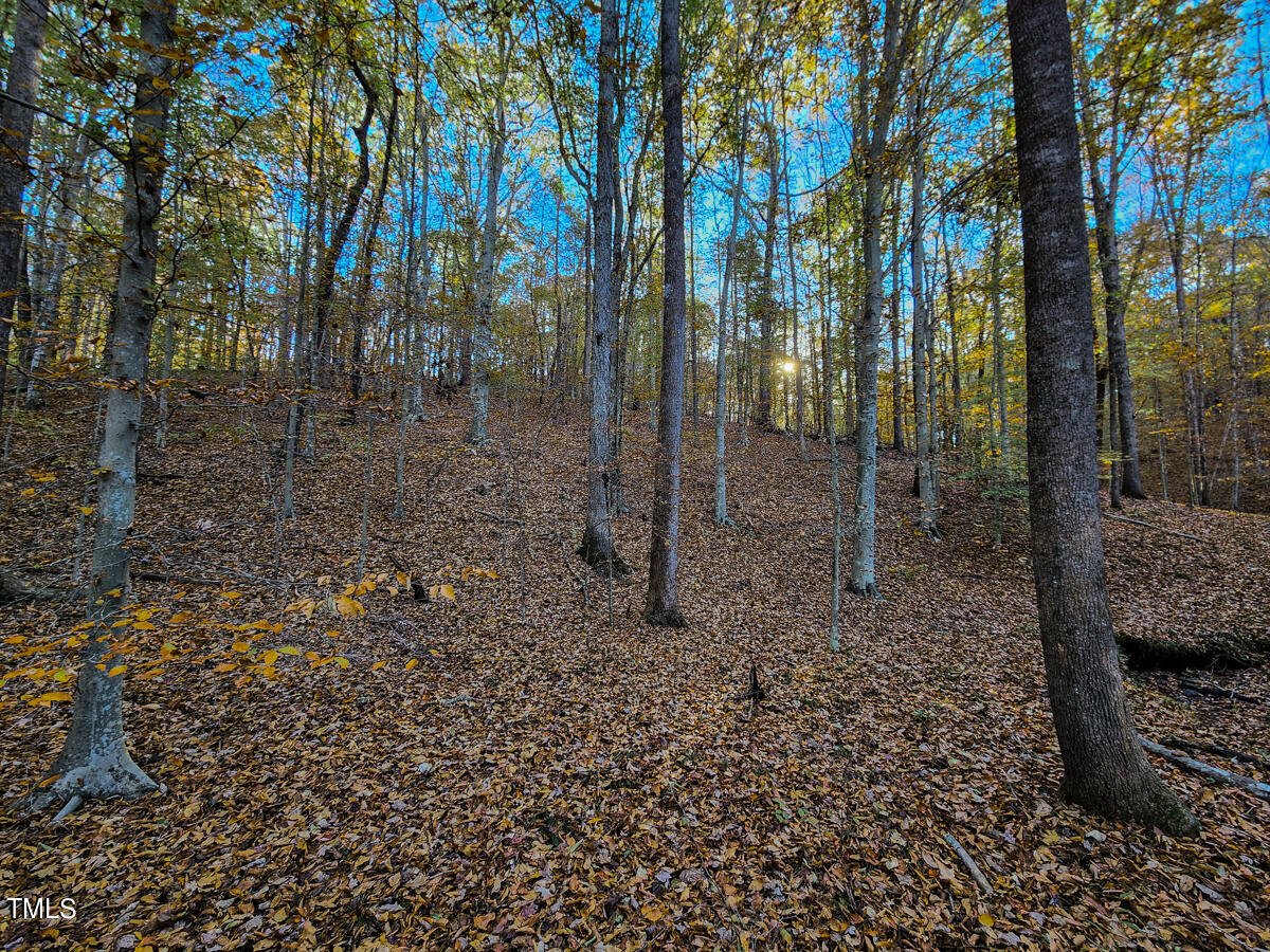 1254 Anglin Mill Road Stoneville, NC 27048 - Photo 37 of 92 35
