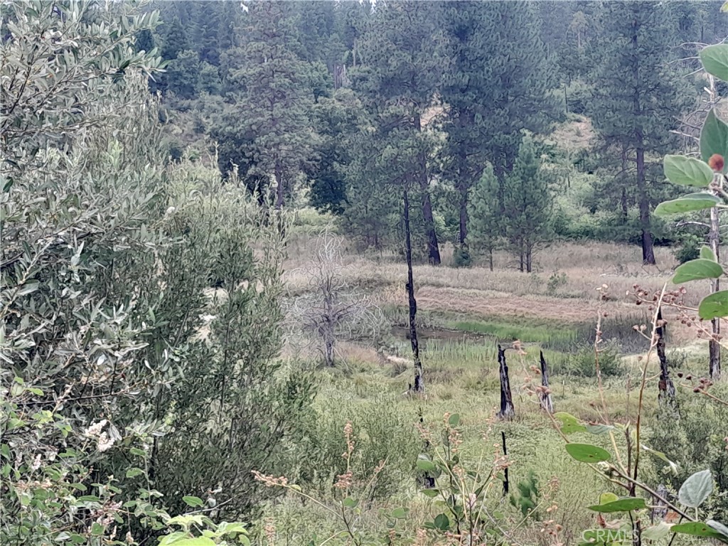 3979 Yellow Wood Road Oroville, CA 95965 - Photo 2 of 7 a view of a yard with a tree