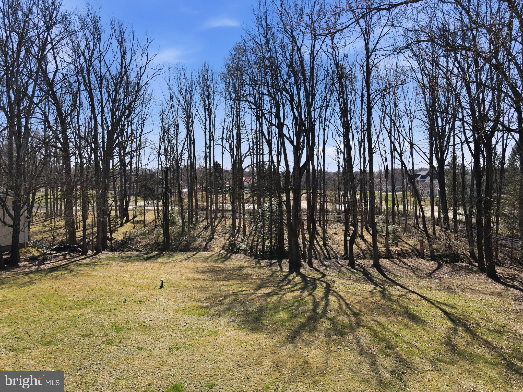 310 Springvale Road Great Falls, VA 22066 - Photo 58 of 68