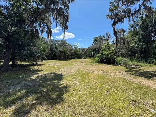 a view of outdoor space with trees all around