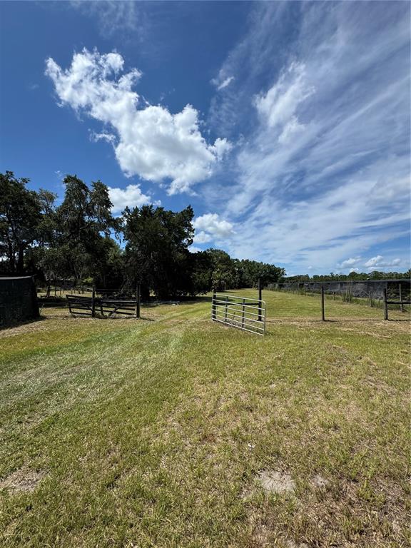 850 Menton Road Pierson, FL 32180 - Photo 21 of 24 a view of a golf course with a lake