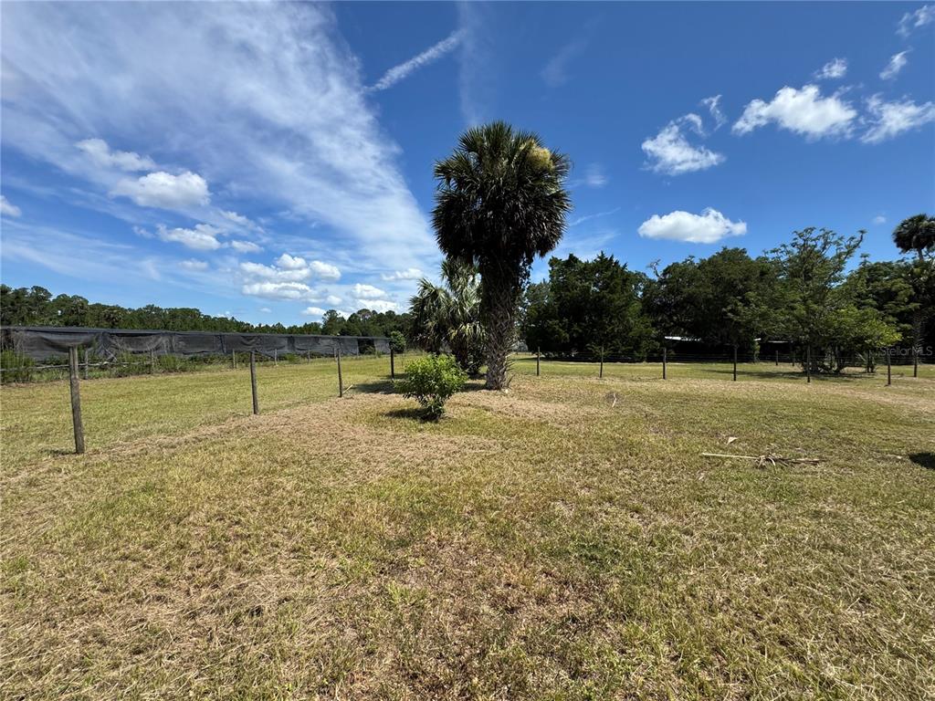 850 Menton Road Pierson, FL 32180 - Photo 28 of 35 a view of a lake with a big yard