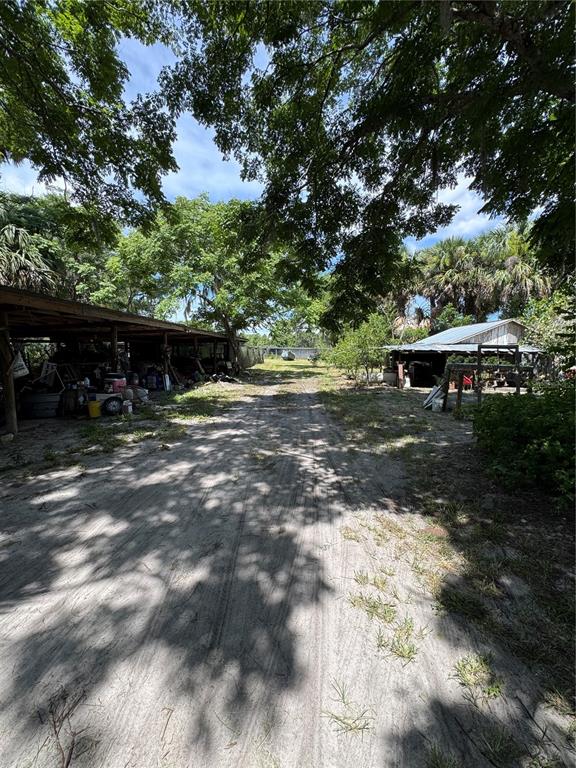 850 Menton Road Pierson, FL 32180 - Photo 33 of 35 a view of backyard with swimming pool and trees