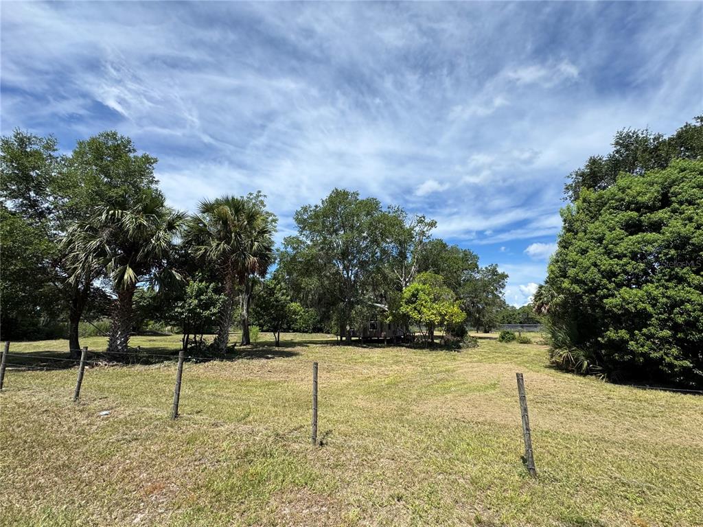 850 Menton Road Pierson, FL 32180 - Photo 8 of 24 a view of a yard