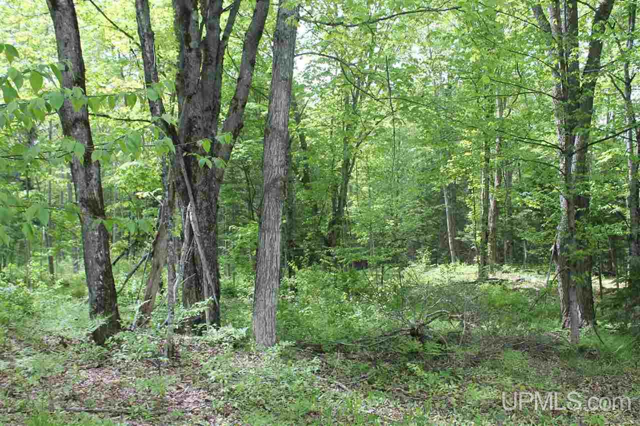 Tbd Off Kyllonen Road, Unit LAT 46 75685 LON 88 7526 Nisula, MI 49952 - Photo 7 of 24