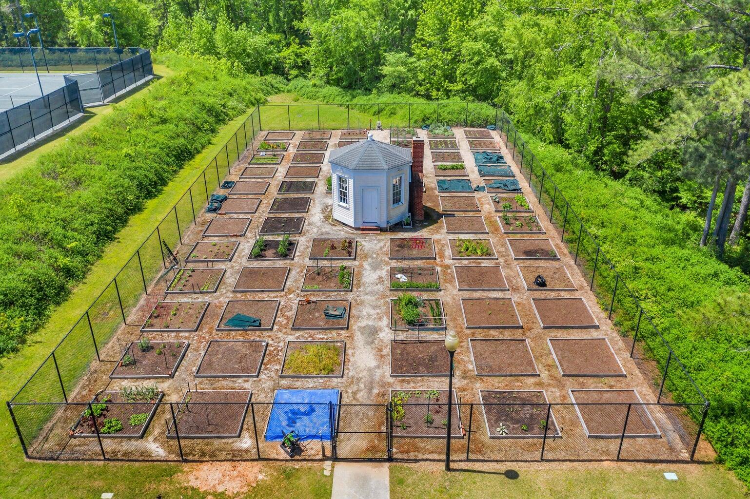 184 Colin Reed's Road North Augusta, SC 29860 - Photo 41 of 48 Gardening