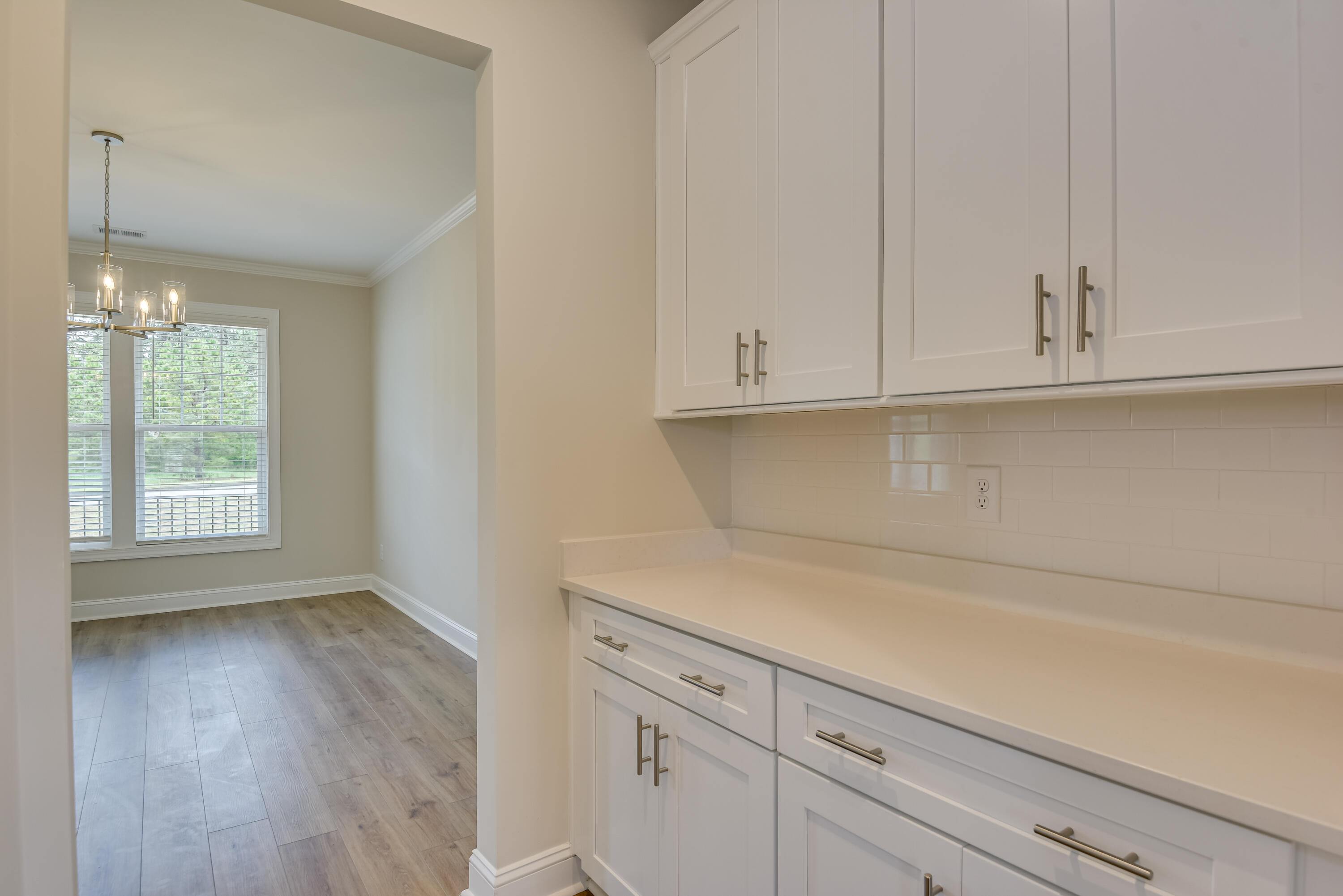 184 Colin Reed's Road North Augusta, SC 29860 - Photo 10 of 48 Butlers pantry