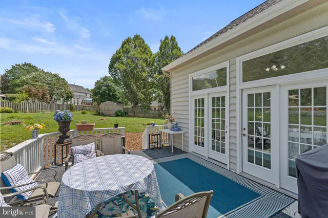a view of a backyard with plants and large trees