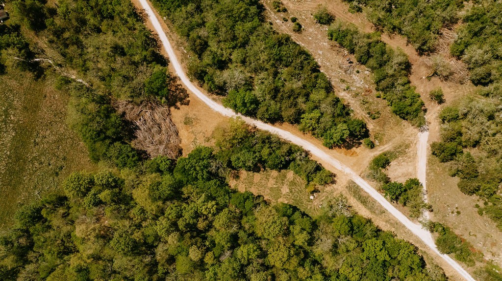 2970 Springplace Road Belfast, TN 37019 - Photo 24 of 52 a view of a yard with a tree