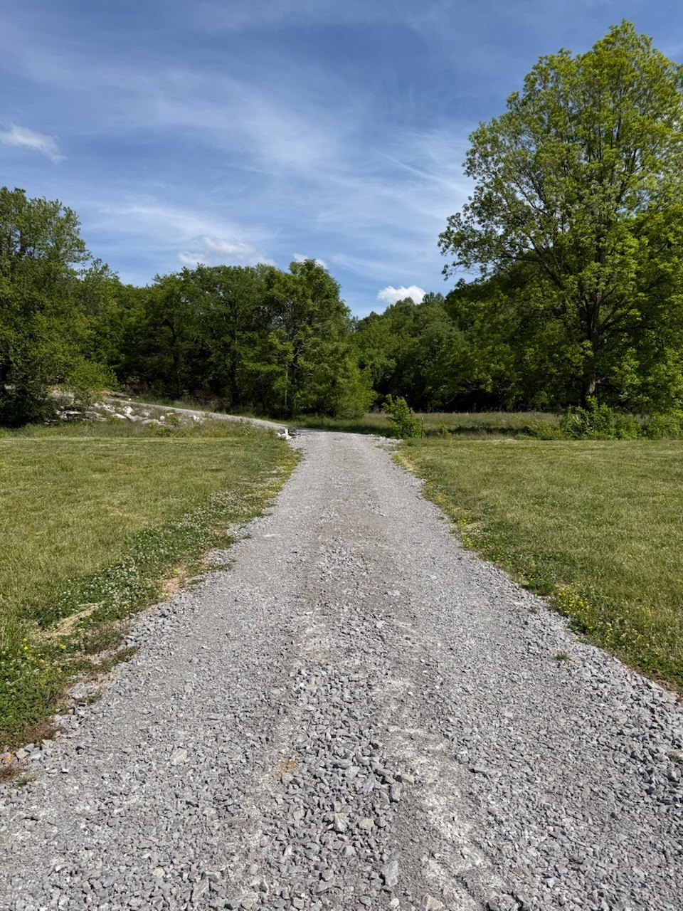 2970 Springplace Road Belfast, TN 37019 - Photo 6 of 52 a view of outdoor space with mountain view