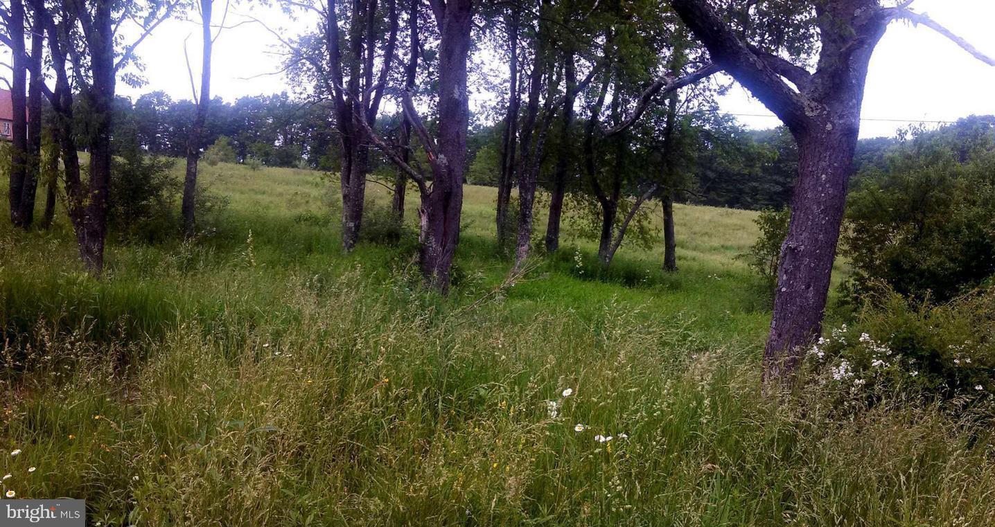 Lot 7 West Blue Goose Road Friendsville, MD 21531 - Photo 3 of 10