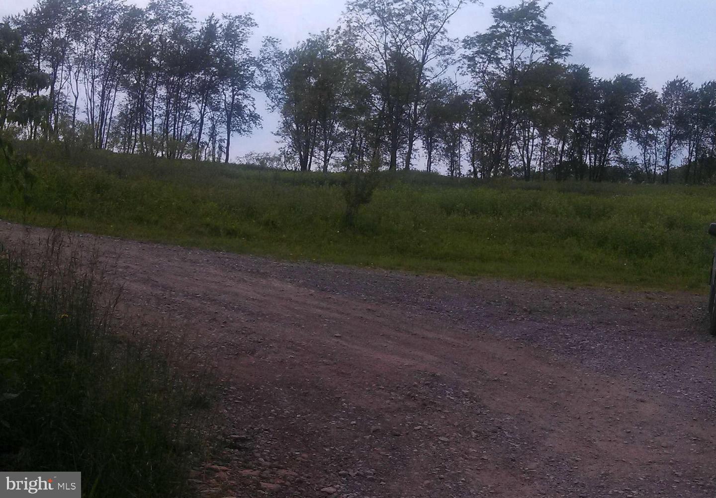 Lot 7 West Blue Goose Road Friendsville, MD 21531 - Photo 5 of 10