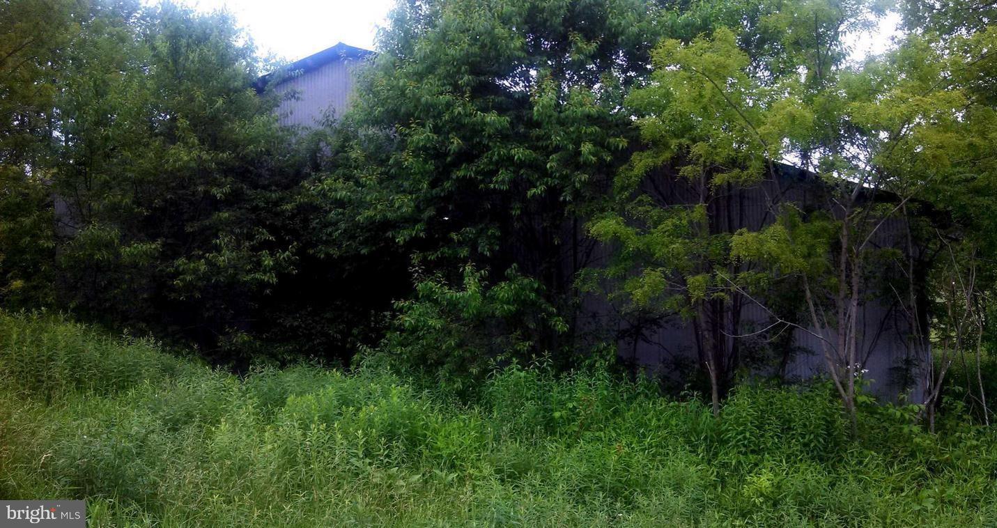 Lot 7 West Blue Goose Road Friendsville, MD 21531 - Photo 7 of 10