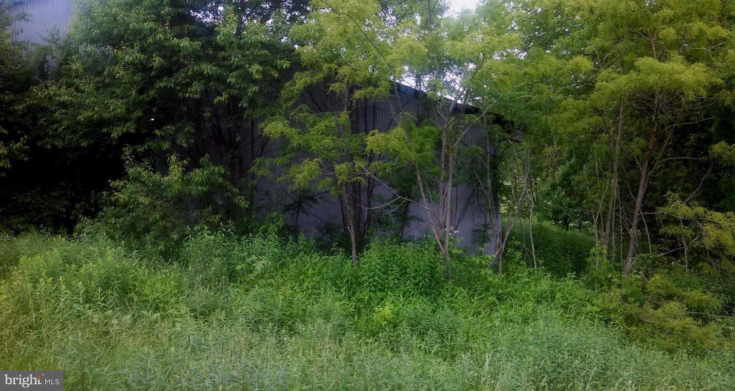 Lot 7 West Blue Goose Road Friendsville, MD 21531 - Photo 8 of 10