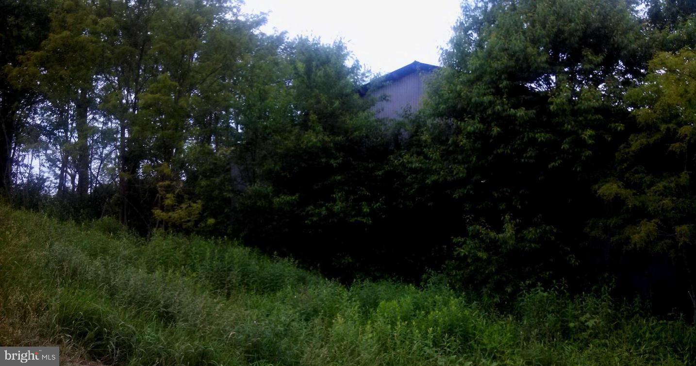 Lot 7 West Blue Goose Road Friendsville, MD 21531 - Photo 9 of 10