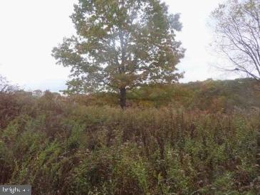 Lot 7 West Blue Goose Road Friendsville, MD 21531 - Photo 10 of 10 Land