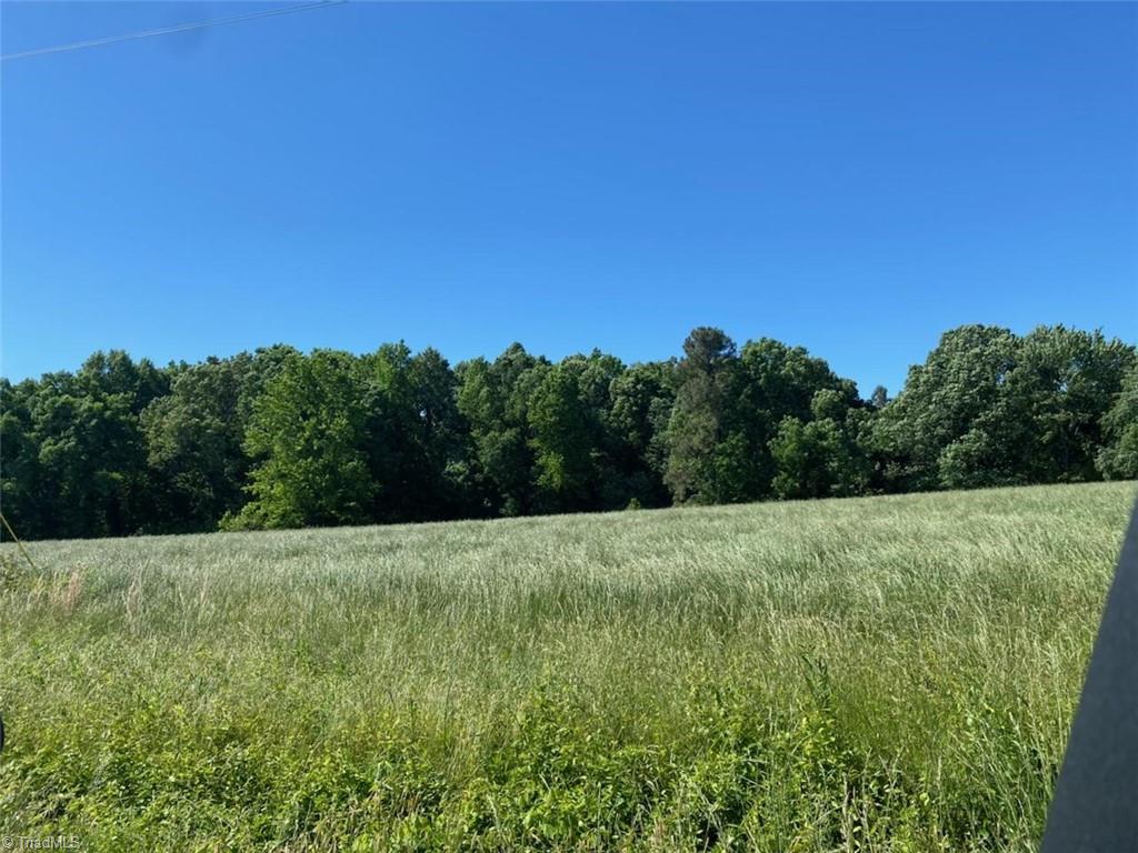 3 Brooksdale Road Staley, NC 27355 - Photo 1 of 2