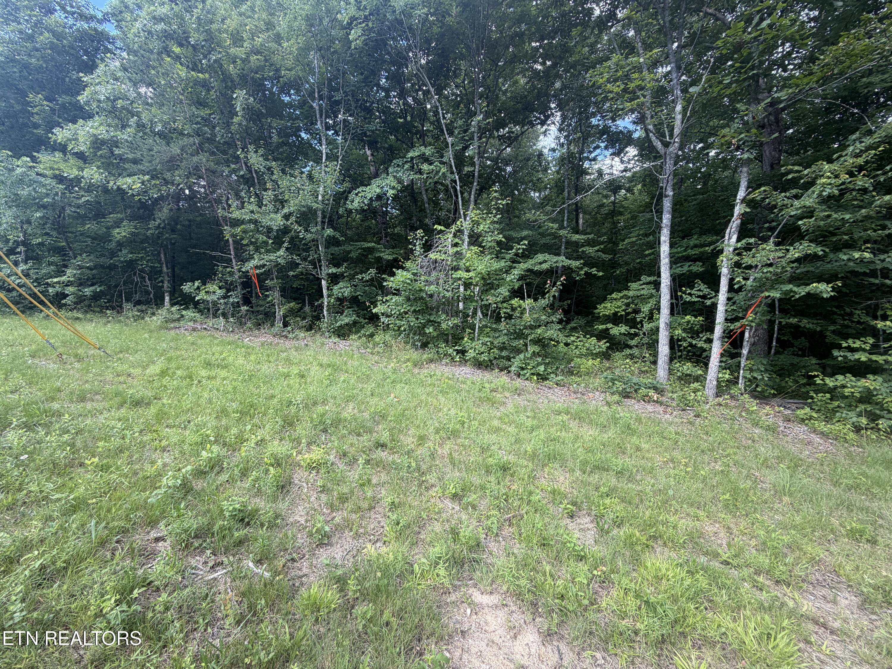 0 Muddy Branch Road Crossville, TN 38571 - Photo 16 of 16 IMG_1107