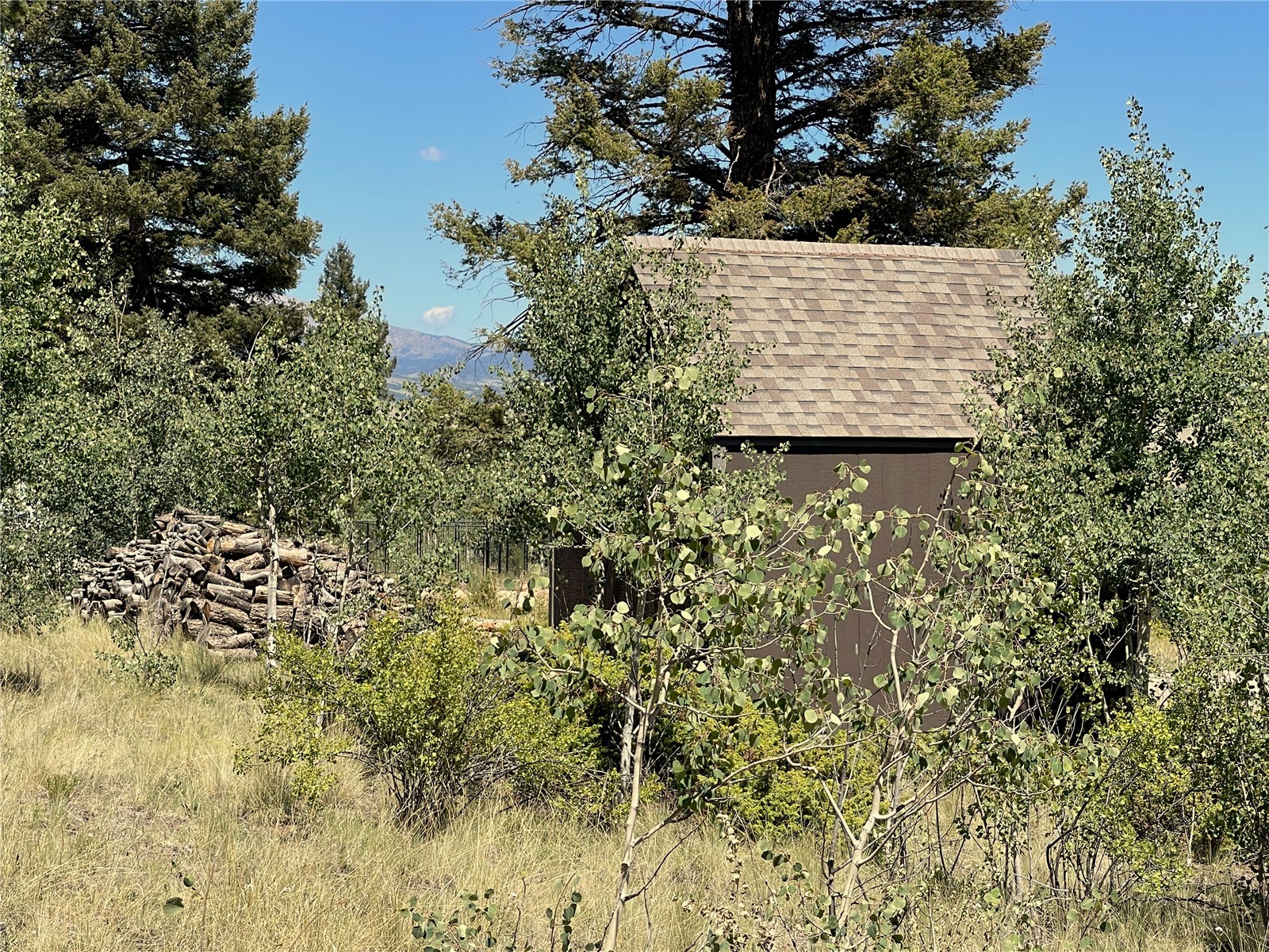 1178 Redhill Road Fairplay, CO 80440 - Photo 2 of 31 Gallery Image 2