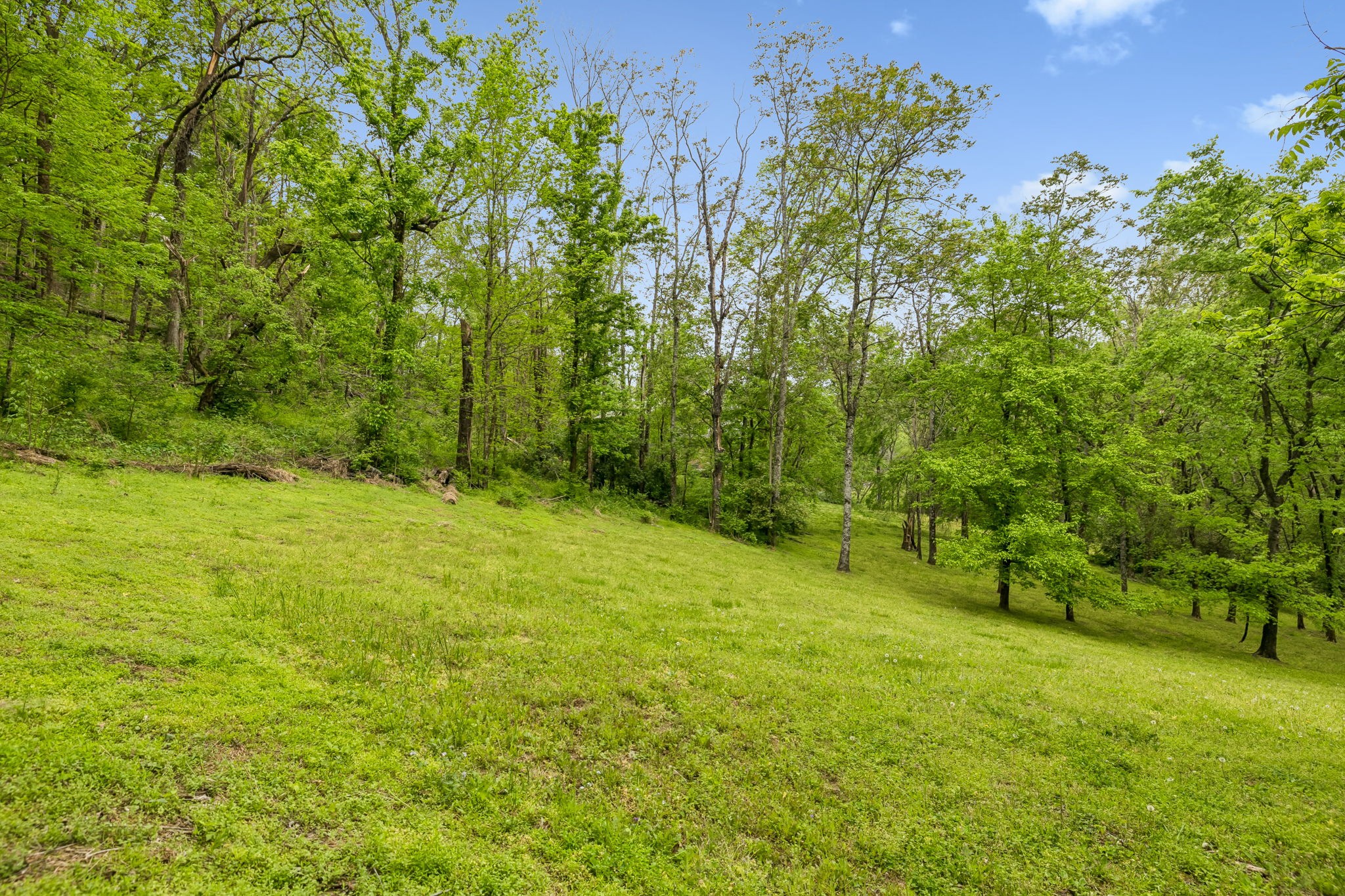 2288 North Berrys Chapel Road Franklin, TN 37069 - Photo 58 of 73