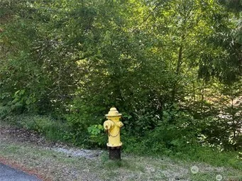 a fire hydrant in middle of the forest