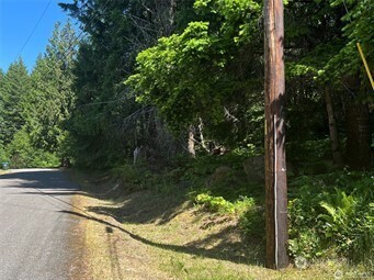103 Ridge Lane Packwood, WA 98361 - Photo 3 of 6 a view of a yard