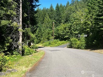 103 Ridge Lane Packwood, WA 98361 - Photo 4 of 6 a view of a garden with plants