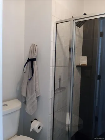a bathroom with a shower and toilet