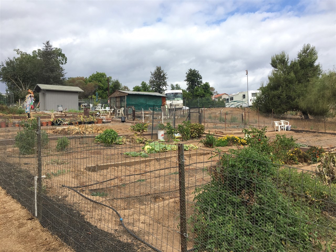 935 Crescent Bend Fallbrook, CA 92028 - Photo 23 of 25 Can you believe it- have you got a "Green Thumb" there's a community Garden guarded by scarecrow just waiting for you.