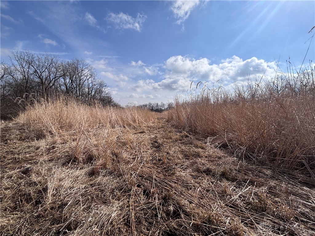 924 Eris Road Urbana, OH 43078 - Photo 47 of 63