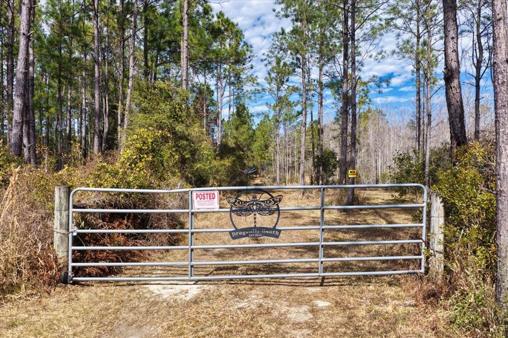 60 Northwest Clyatt Road Chiefland, FL 32626 - Photo 2 of 70