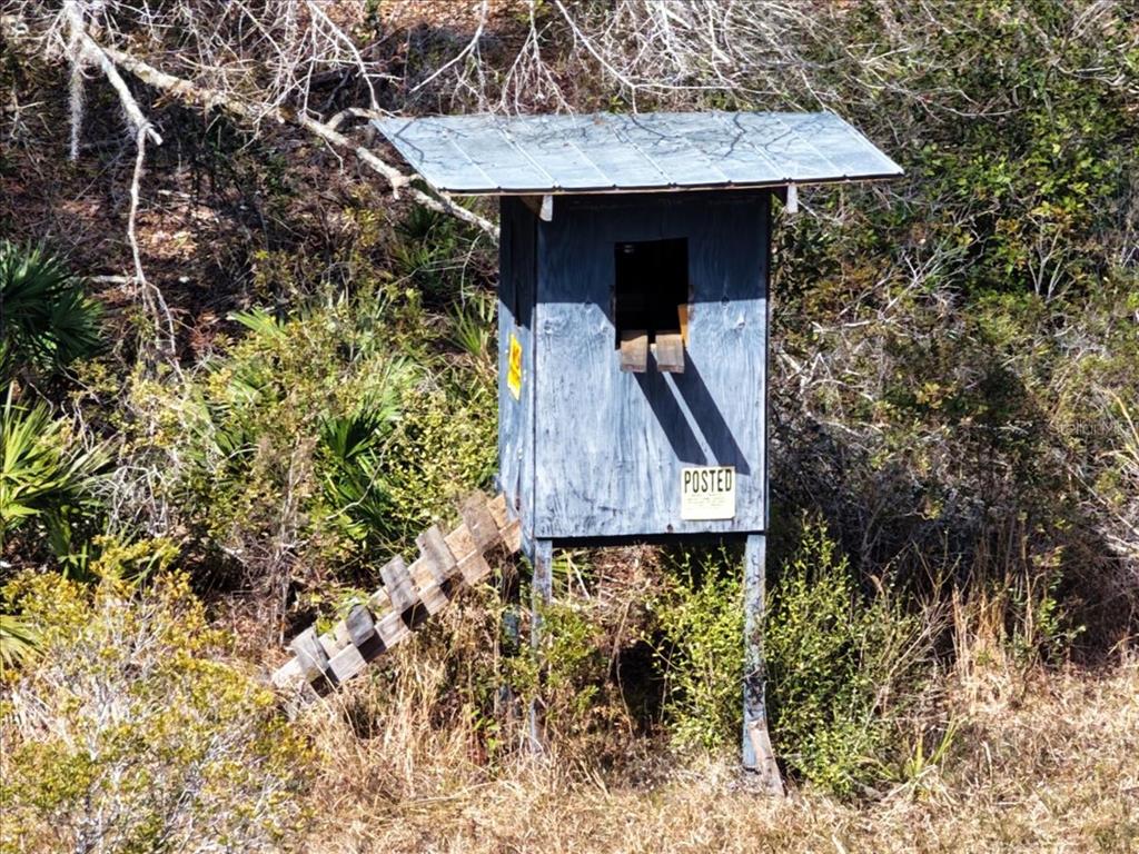 60 Northwest Clyatt Road Chiefland, FL 32626 - Photo 35 of 70