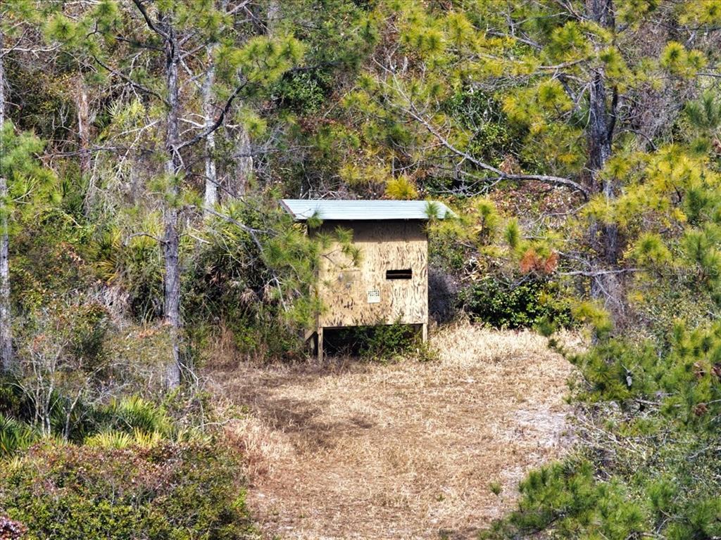 60 Northwest Clyatt Road Chiefland, FL 32626 - Photo 37 of 70