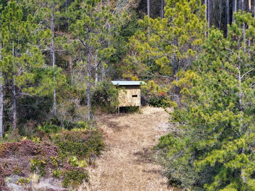 60 Northwest Clyatt Road Chiefland, FL 32626 - Photo 38 of 70