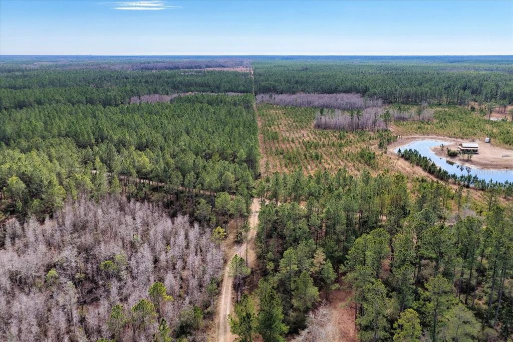 60 Northwest Clyatt Road Chiefland, FL 32626 - Photo 39 of 70