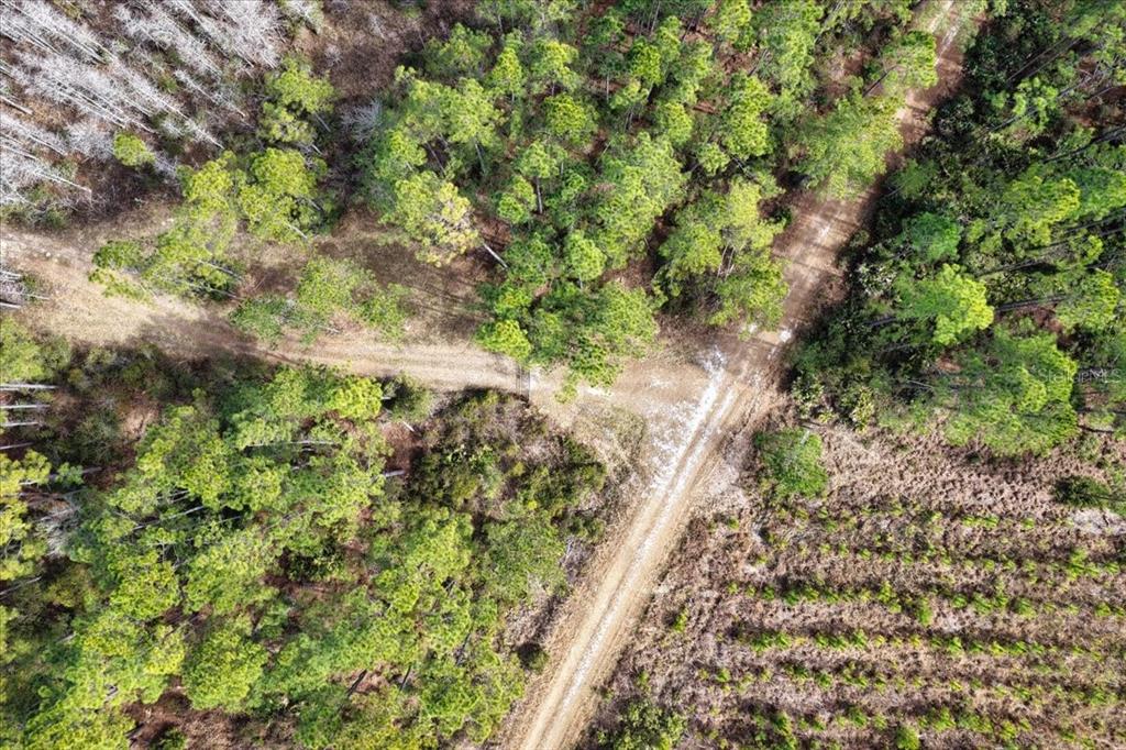 60 Northwest Clyatt Road Chiefland, FL 32626 - Photo 40 of 70